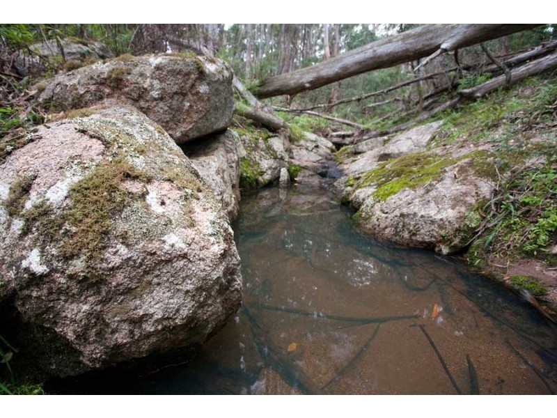 Lot 35 Myrtle Mtn Rd, Candelo NSW 2550