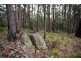 Lot 35 Myrtle Mtn Rd, Candelo NSW 2550