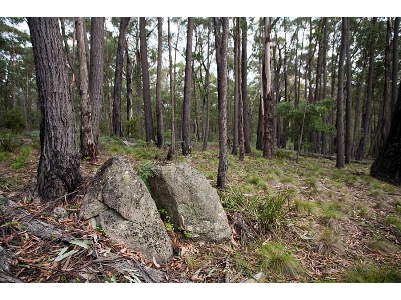 Lot 35 Myrtle Mtn Rd, Candelo NSW 2550