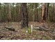 Lot 35 Myrtle Mtn Rd, Candelo NSW 2550