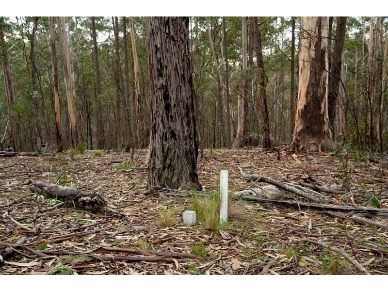 Lot 35 Myrtle Mtn Rd, Candelo NSW 2550