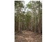Lot 35 Myrtle Mtn Rd, Candelo NSW 2550