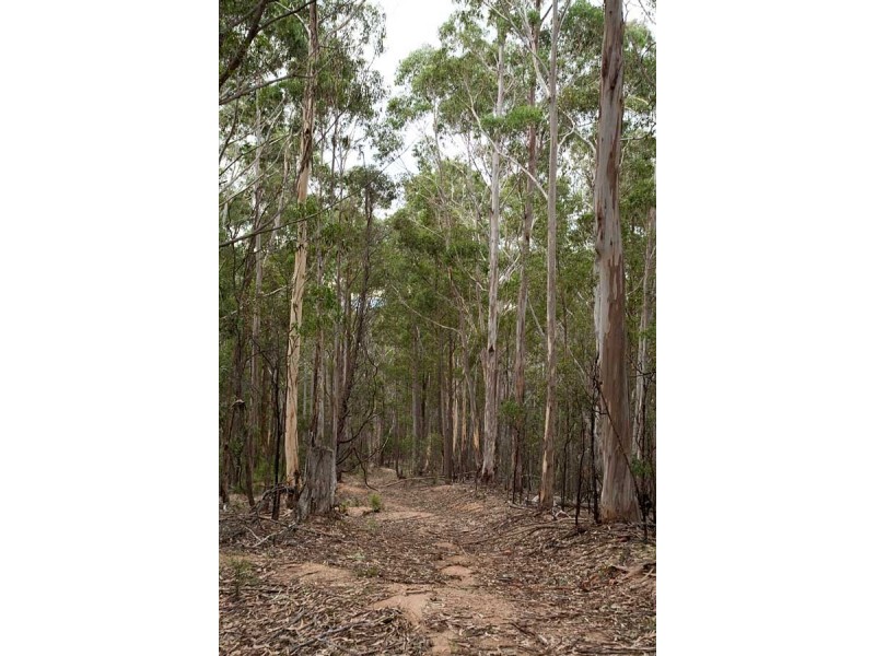 Lot 35 Myrtle Mtn Rd, Candelo NSW 2550