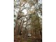 Lot 35 Myrtle Mtn Rd, Candelo NSW 2550