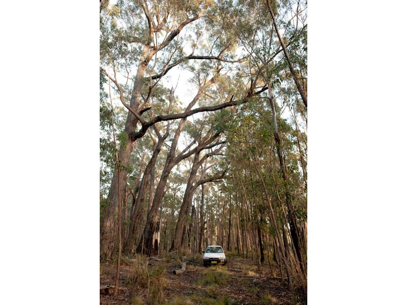 Lot 35 Myrtle Mtn Rd, Candelo NSW 2550