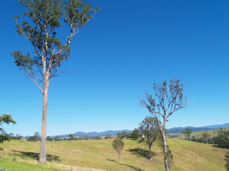 675 Angledale Rd, Bega NSW 2550