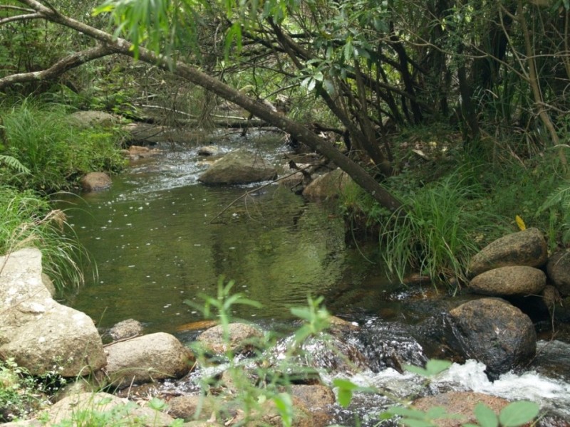 Lot 100 Snowy Mtns Hwy, Bemboka NSW 2550