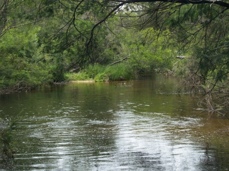 Lot 100 Snowy Mtns Hwy, Bemboka NSW 2550