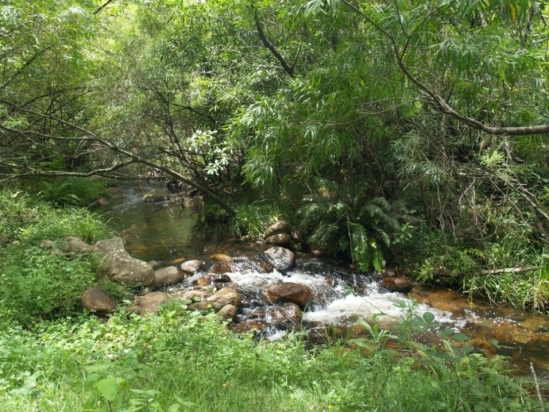 Lot 100 Snowy Mtns Hwy, Bemboka NSW 2550
