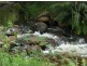 Lot 100 Snowy Mtns Hwy, Bemboka NSW 2550