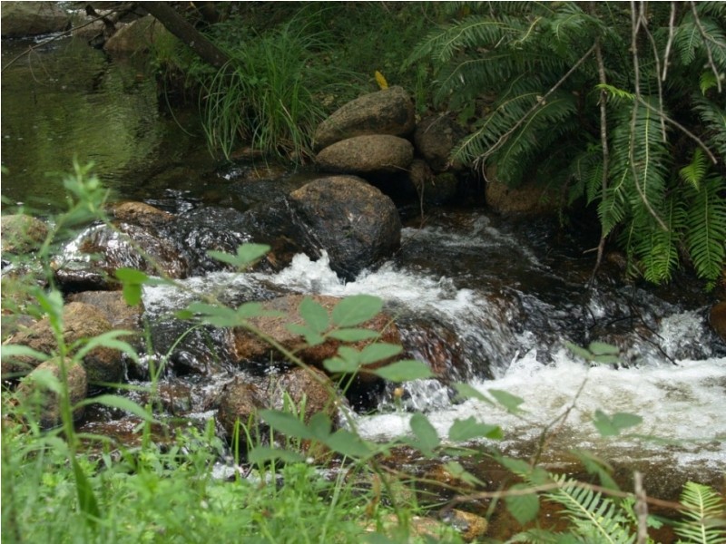 Lot 100 Snowy Mtns Hwy, Bemboka NSW 2550