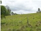 Lot 100 Snowy Mtns Hwy, Bemboka NSW 2550