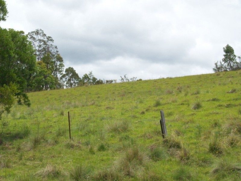 Lot 100 Snowy Mtns Hwy, Bemboka NSW 2550