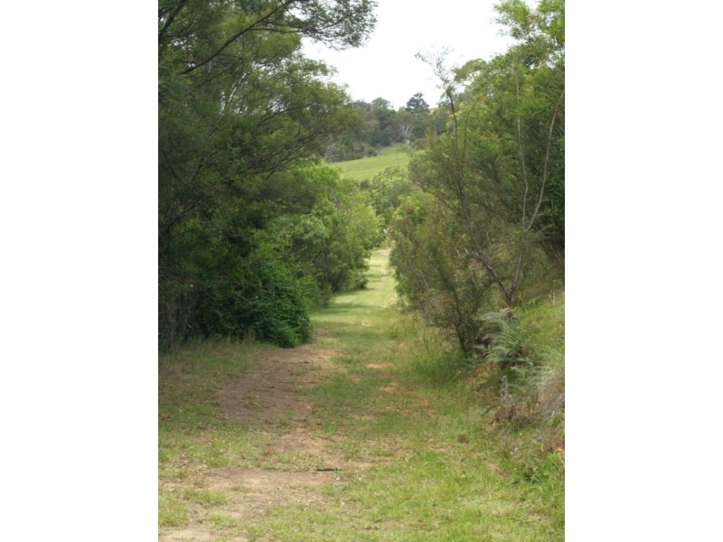 Lot 100 Snowy Mtns Hwy, Bemboka NSW 2550