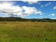101 Millingandi Rd, Millingandi NSW 2549
