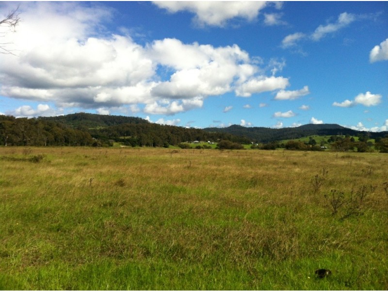 101 Millingandi Rd, Millingandi NSW 2549