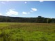 101 Millingandi Rd, Millingandi NSW 2549