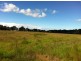 101 Millingandi Rd, Millingandi NSW 2549