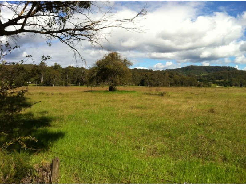 101 Millingandi Rd, Millingandi NSW 2549