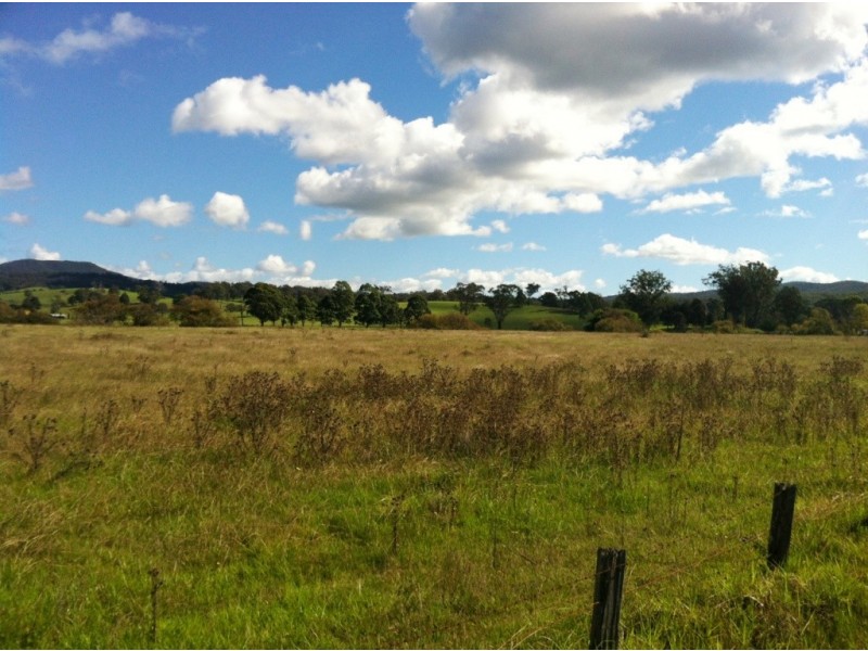 101 Millingandi Rd, Millingandi NSW 2549
