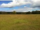 101 Millingandi Rd, Millingandi NSW 2549