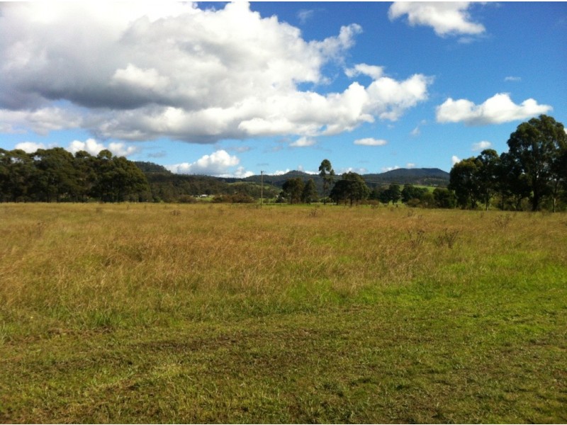 101 Millingandi Rd, Millingandi NSW 2549