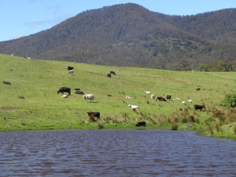 660 Sams Corner Rd, Bemboka NSW 2550