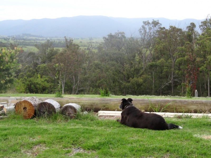 660 Sams Corner Rd, Bemboka NSW 2550