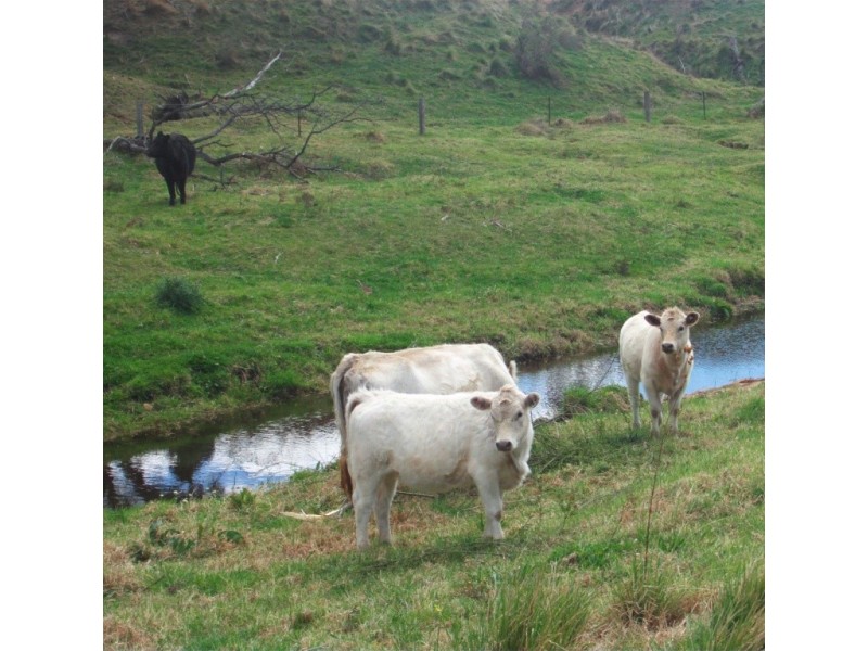 660 Sams Corner Rd, Bemboka NSW 2550