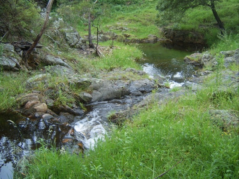 660 Sams Corner Rd, Bemboka NSW 2550