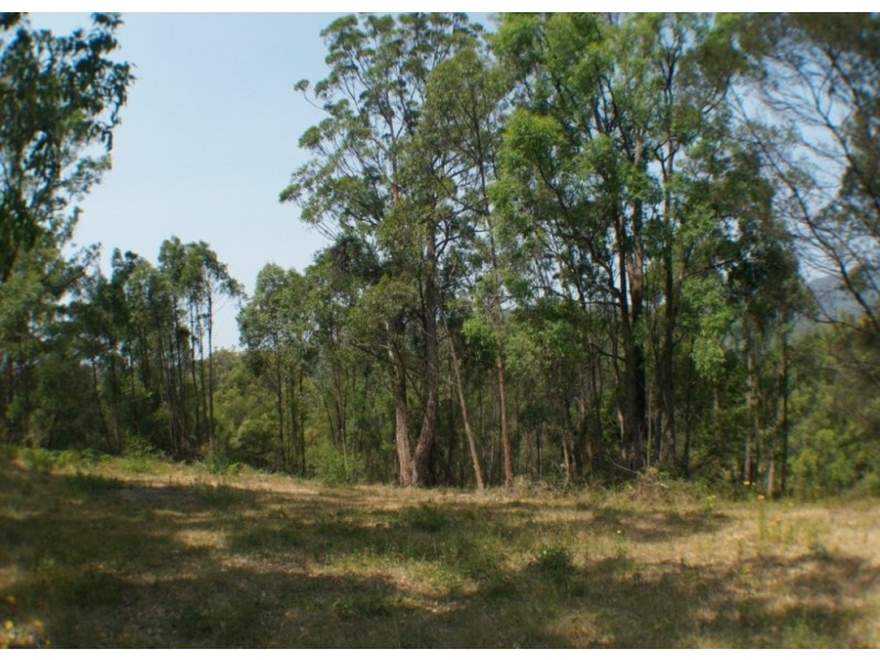 1501 Myrtle Mtn Rd, Candelo NSW 2550