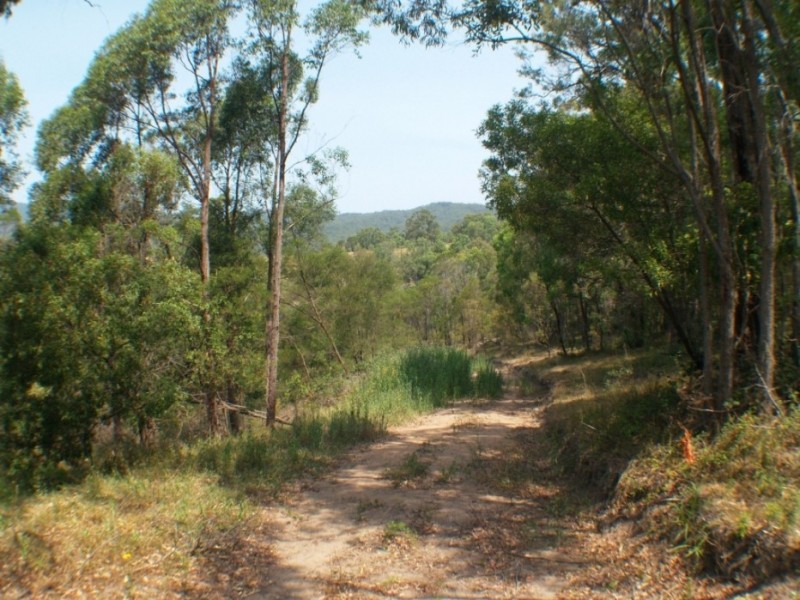 1501 Myrtle Mtn Rd, Candelo NSW 2550