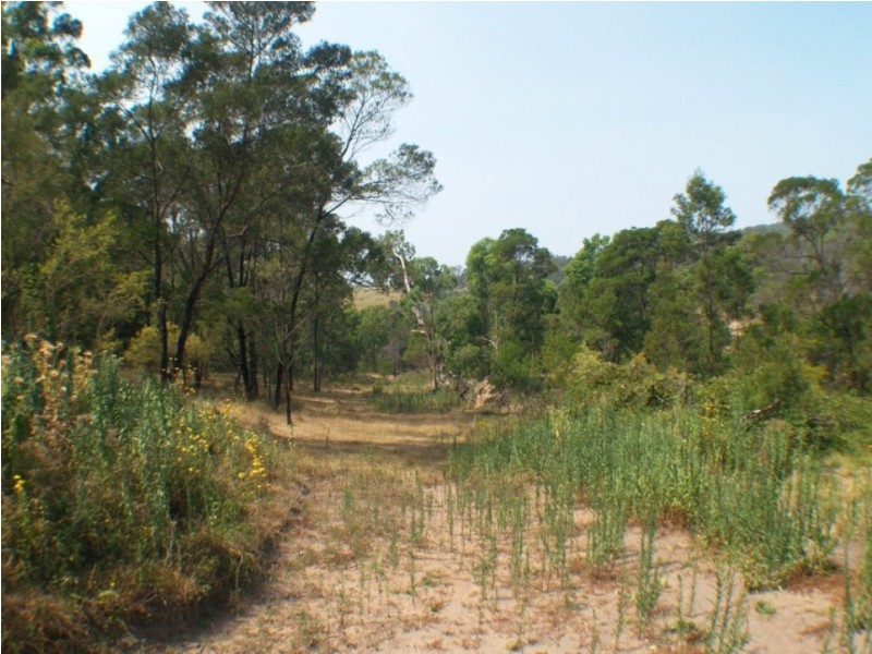 1501 Myrtle Mtn Rd, Candelo NSW 2550