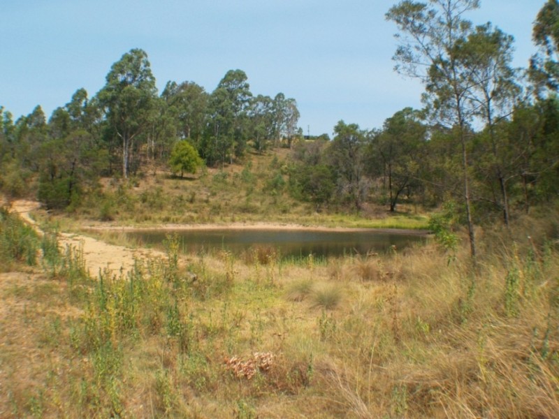 1501 Myrtle Mtn Rd, Candelo NSW 2550