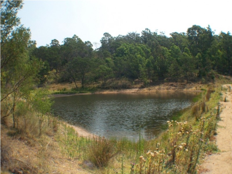 1501 Myrtle Mtn Rd, Candelo NSW 2550