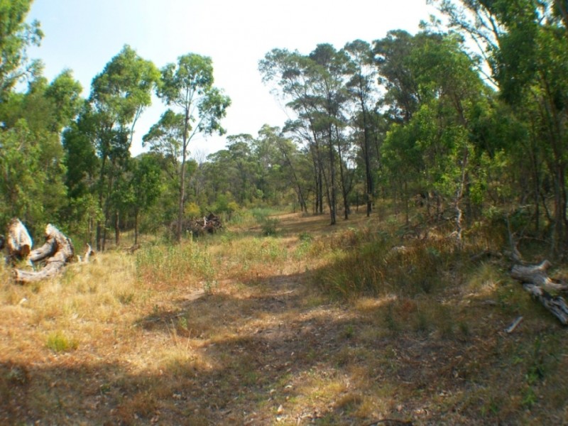 1501 Myrtle Mtn Rd, Candelo NSW 2550