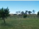 649 Mogilla Rd, Candelo NSW 2550