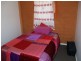 13 Bega St, Candelo NSW 2550