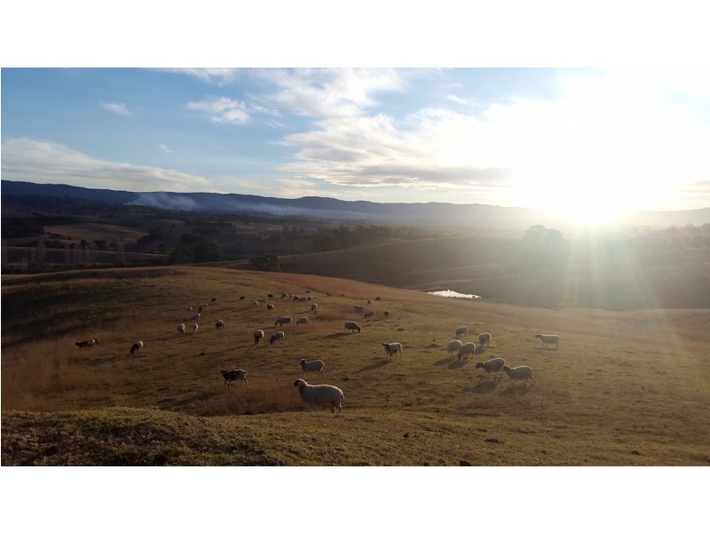 285 West Kameruka Rd, Candelo NSW 2550