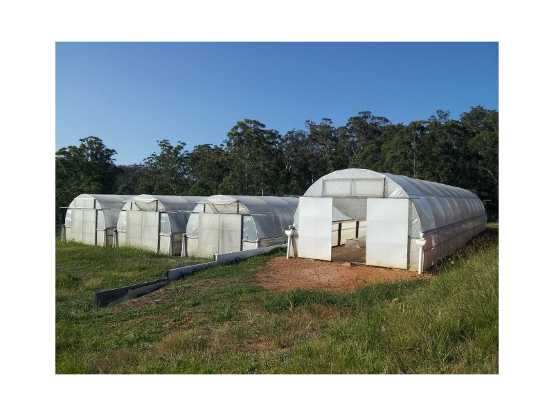 336 Westrops Rd, Coolagolite NSW 2550