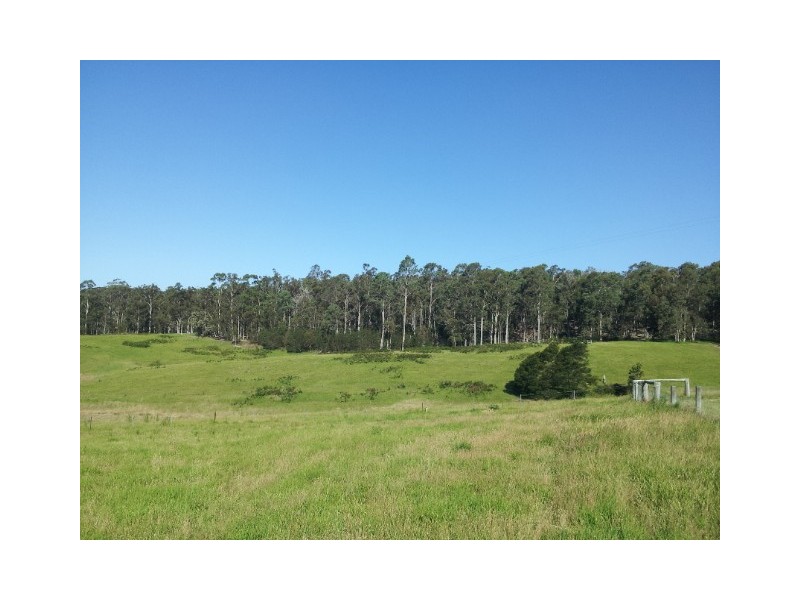 336 Westrops Rd, Coolagolite NSW 2550
