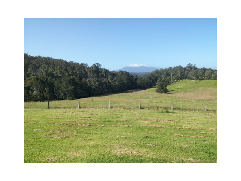 336 Westrops Rd, Coolagolite NSW 2550