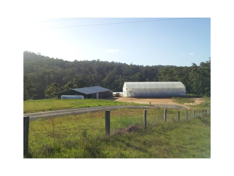 336 Westrops Rd, Coolagolite NSW 2550