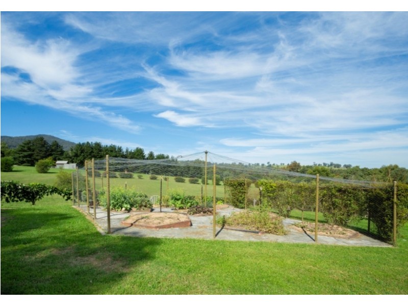 300 Glen Oaks Road, Brogo NSW 2550