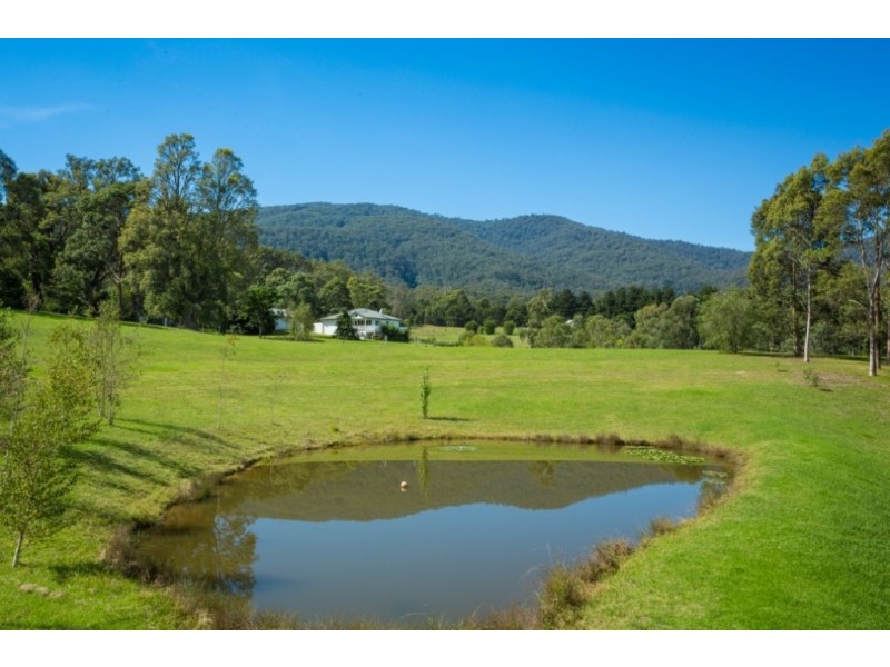 300 Glen Oaks Road, Brogo NSW 2550