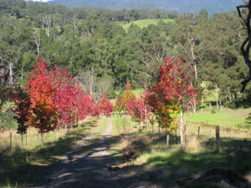 235 Goughs Rd, Yowrie NSW 2550