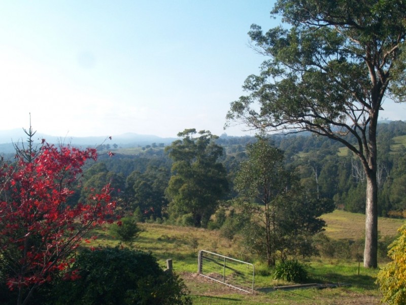 235 Goughs Rd, Yowrie NSW 2550