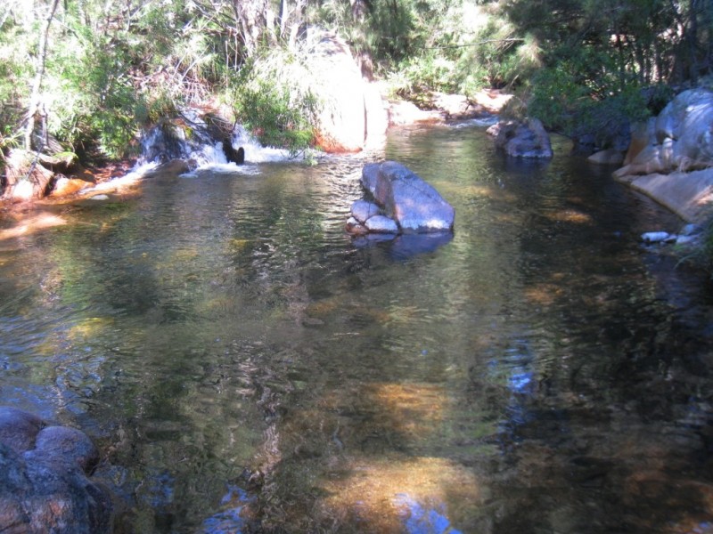 235 Goughs Rd, Yowrie NSW 2550