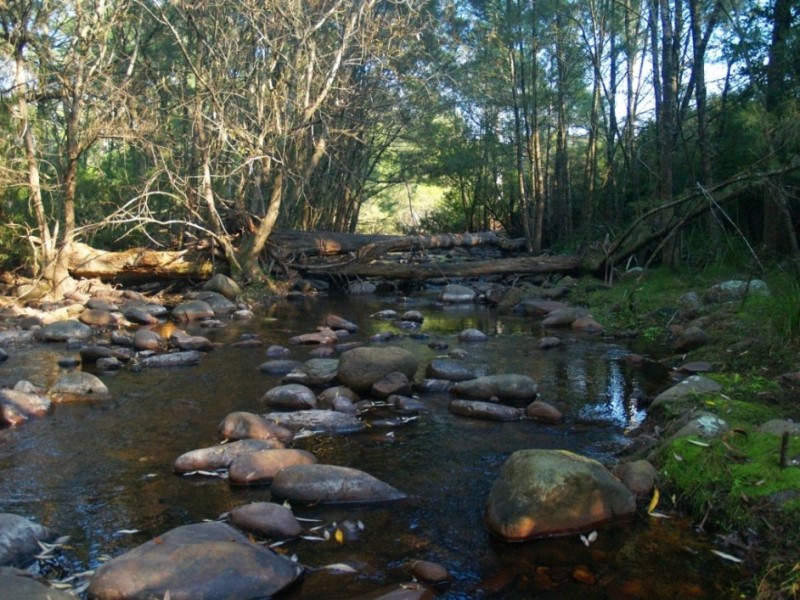 235 Goughs Rd, Yowrie NSW 2550