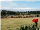 16 Springvale Close, Bega NSW 2550